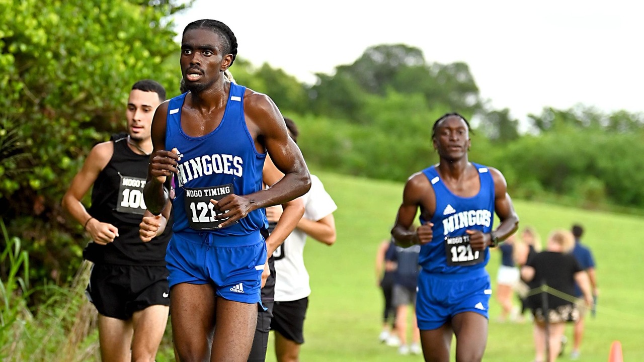 Mingoes men's cross country opens international season strong