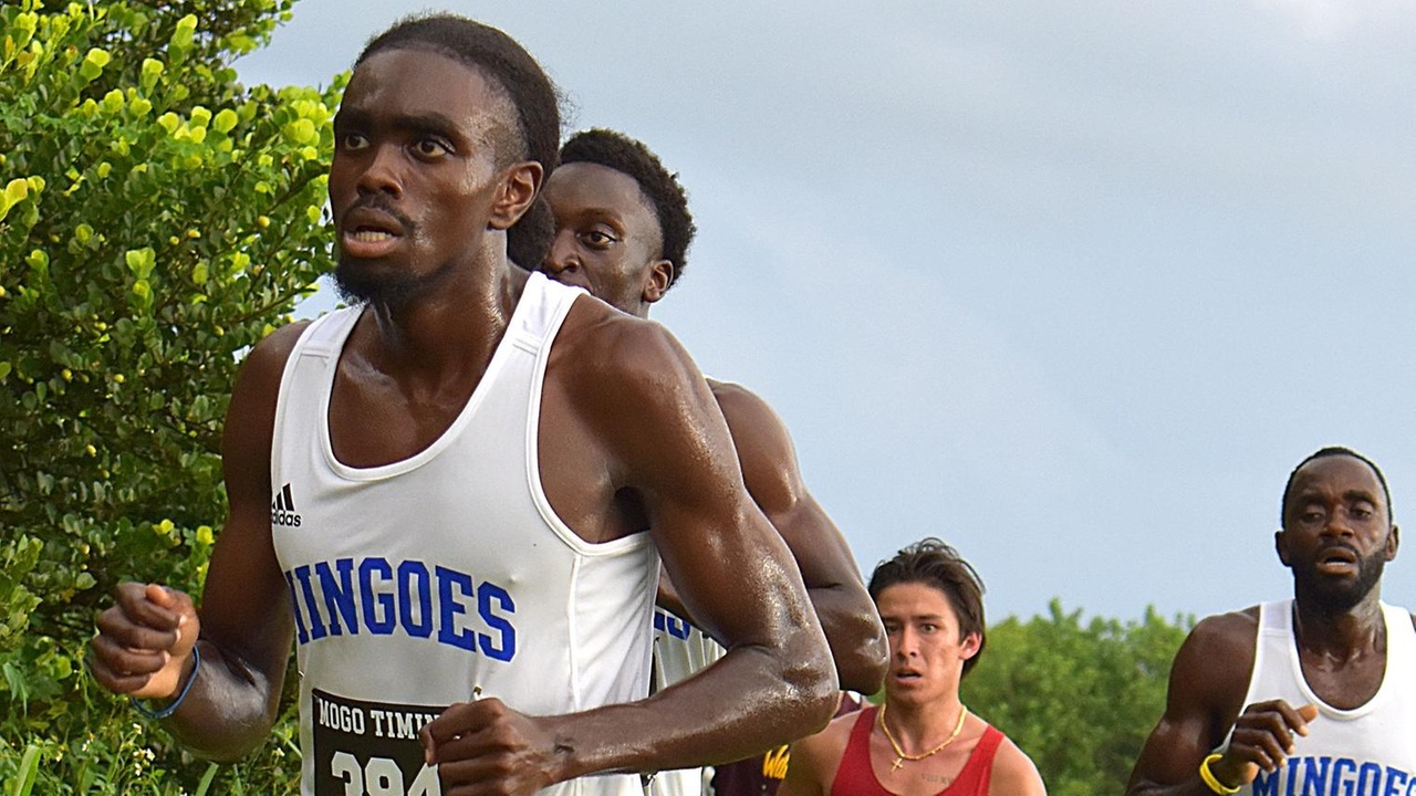 Mingoes start cross country season with strong showing at top meet