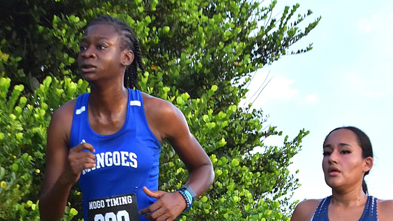 Mingoes start cross country season with strong showing at top meet